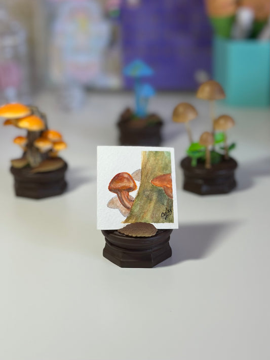 Micro Mini Mushroom Nameko